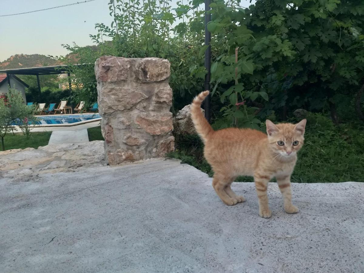 Rijeka Crnojevića Rustic Village מראה חיצוני תמונה