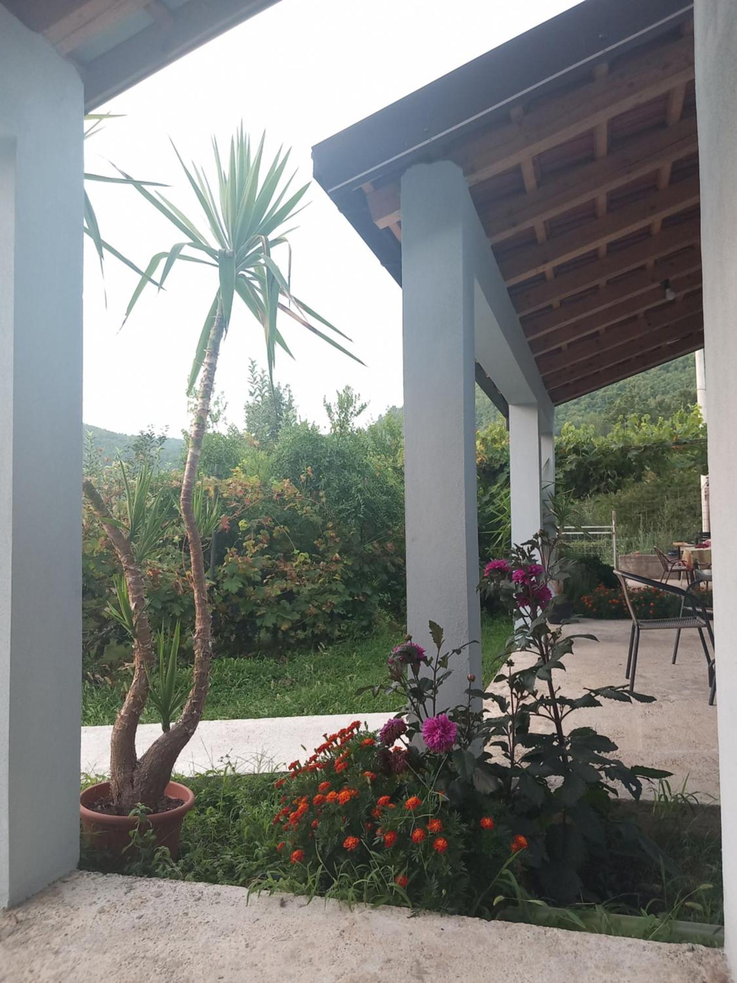 Rijeka Crnojevića Rustic Village מראה חיצוני תמונה